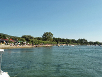 Punat
