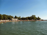 Punat