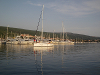 Punat