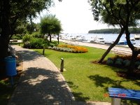 Punat